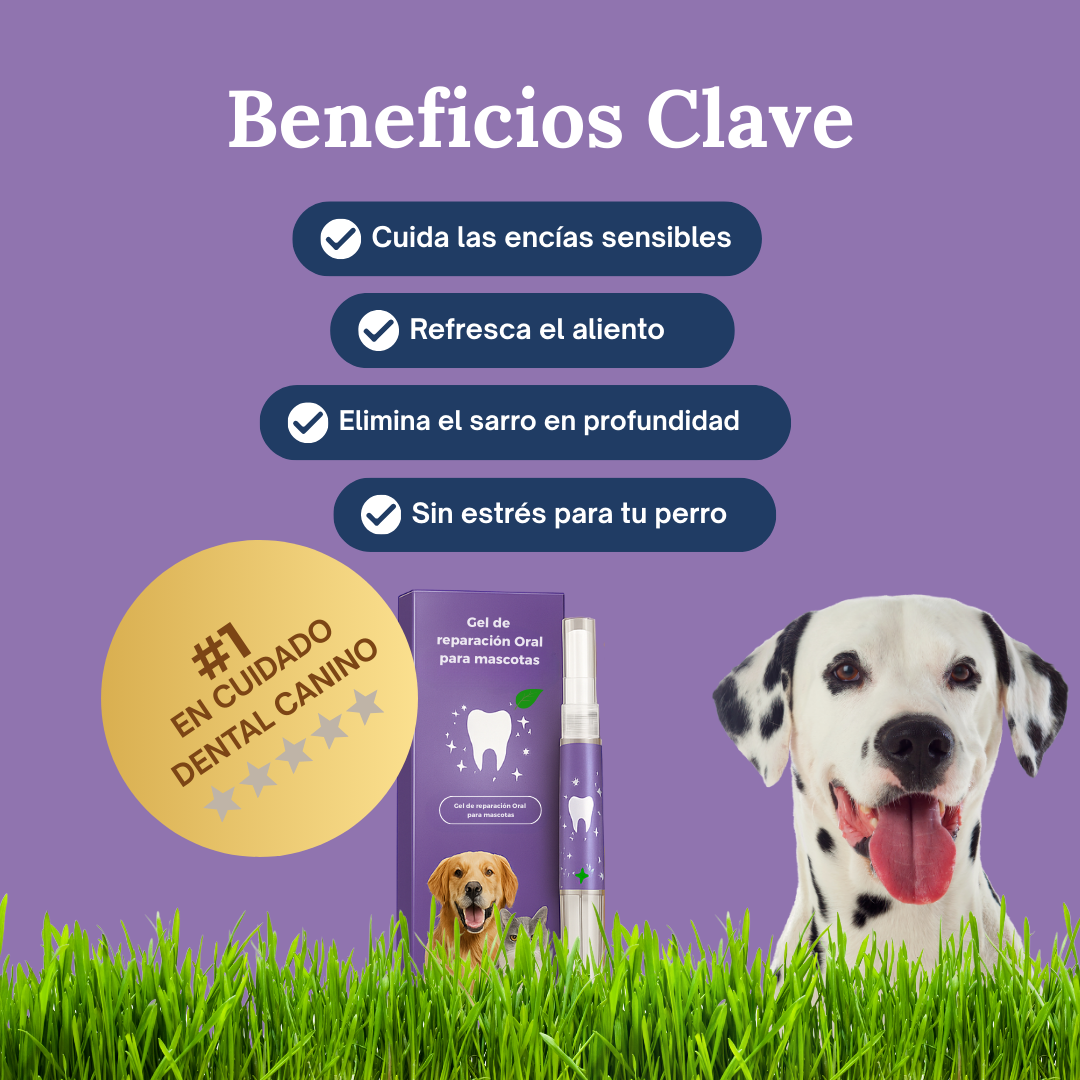 SmilePaws™ - Cuidado Dental nº1 para perros en Perú