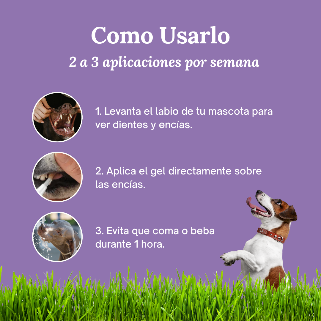 SmilePaws™ - Cuidado Dental nº1 para perros en Perú