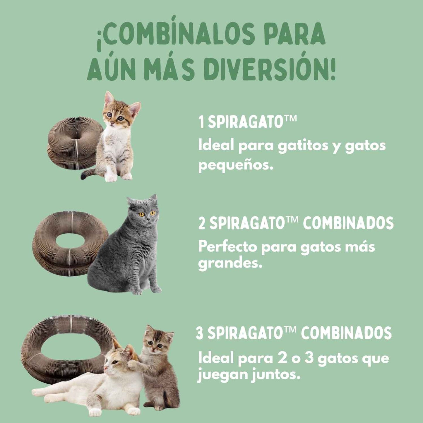 Catcordeón™ - Rascador Interactivo 4 en 1 para Gatos
