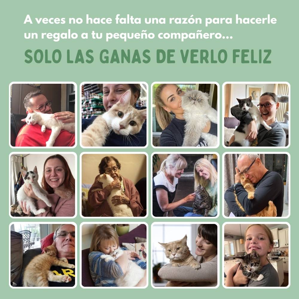 Catcordeón™ - Rascador Interactivo 4 en 1 para Gatos