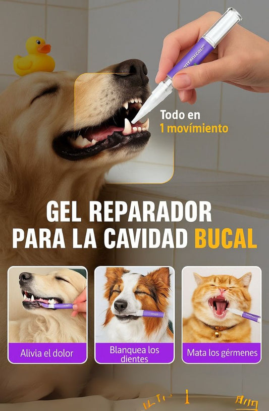 Gel Reparador Dental para mascotas