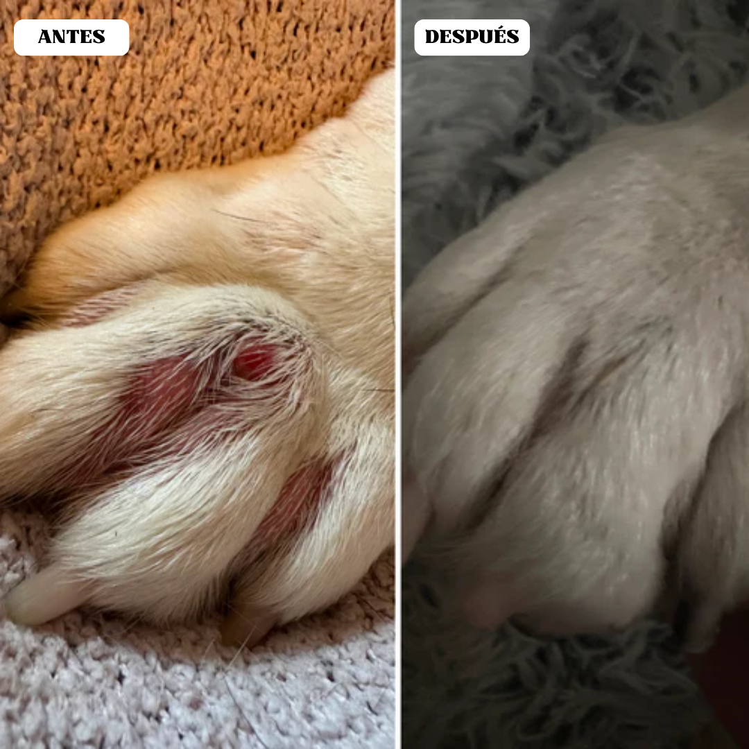 Guantes de Limpieza para Mascotas - PawSure™ +REGALO🎁