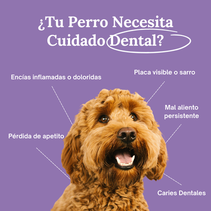 SmilePaws™ - Cuidado Dental nº1 para perros en Perú