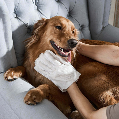Guantes de Limpieza para Mascotas - PawSure™ +REGALO🎁