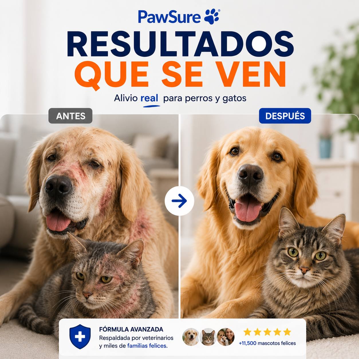 PawSure® Yeast infection - Gotas contra la Picazón y Hongos