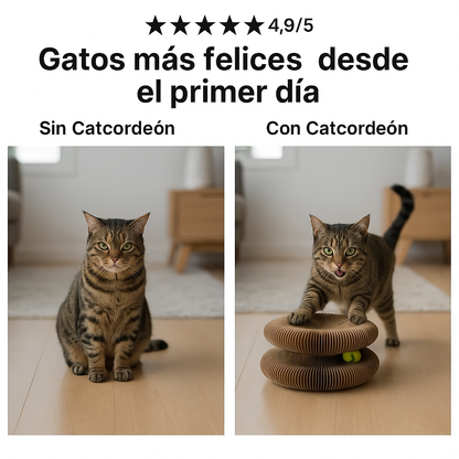 Catcordeón™ - Rascador Interactivo para Gatos (Oferta 2X1)