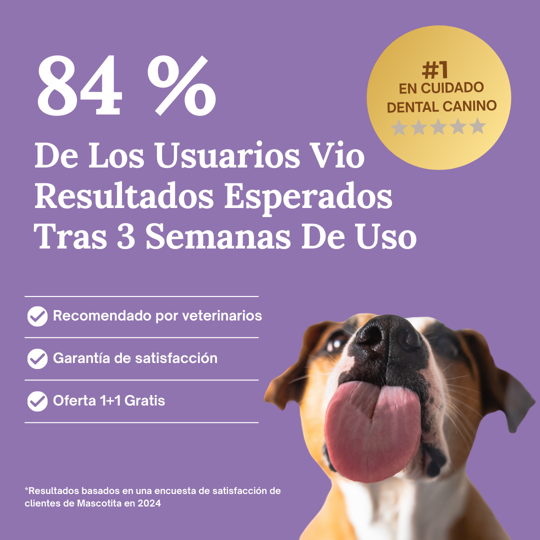 Gel Reparador Dental SmilePaws™ - ¡Manten su sonrisa brillante!