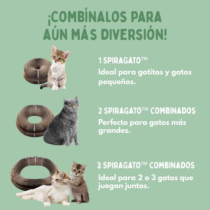 Catcordeón™ - Rascador Interactivo 4 en 1 para Gatos