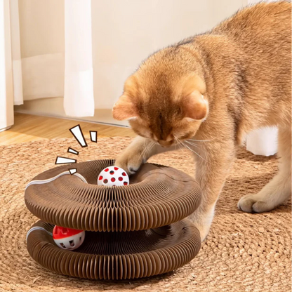 Catcordeón™ - Rascador Interactivo 4 en 1 para Gatos