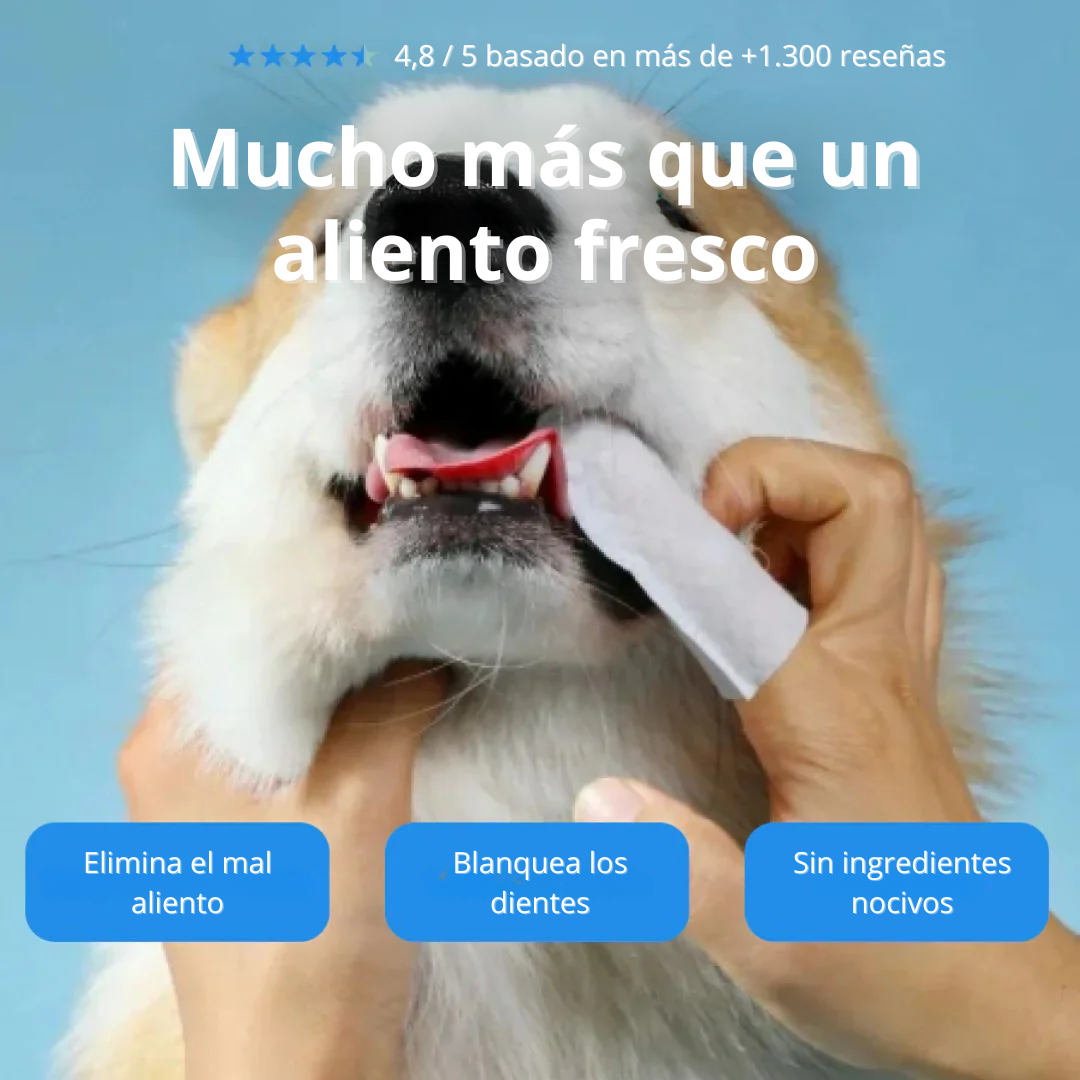 CareWipes™ - Toallitas Dentales Naturales para mascotas