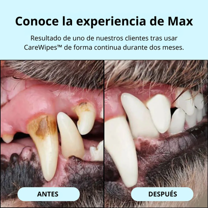 CareWipes™ - Toallitas Dentales Naturales para mascotas