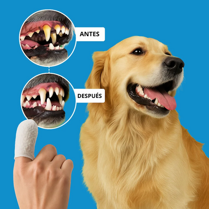 CareWipes™ - Toallitas Dentales Naturales para mascotas