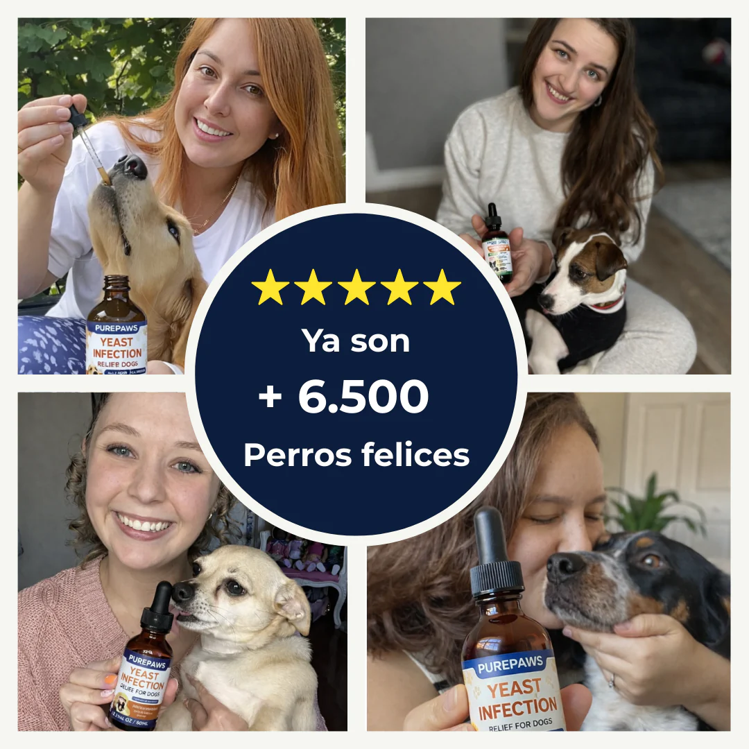 PawSure® Yeast infection - Gotas contra la Picazón y Hongos